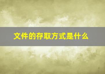 文件的存取方式是什么