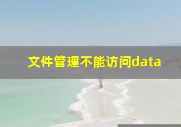 文件管理不能访问data