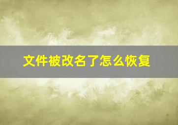 文件被改名了怎么恢复