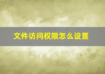 文件访问权限怎么设置