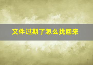 文件过期了怎么找回来