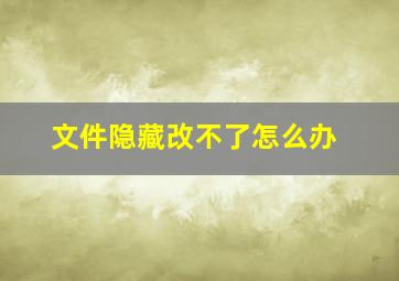 文件隐藏改不了怎么办