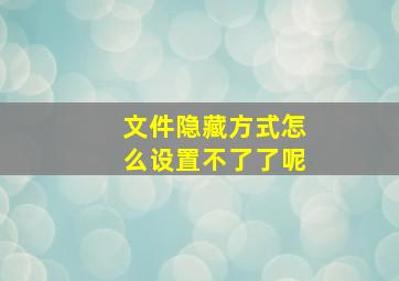 文件隐藏方式怎么设置不了了呢