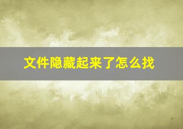 文件隐藏起来了怎么找