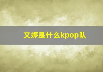 文婷是什么kpop队