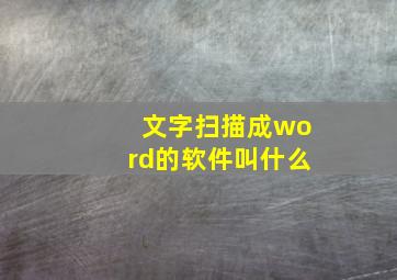 文字扫描成word的软件叫什么