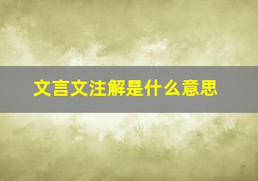 文言文注解是什么意思