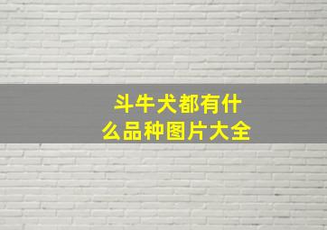 斗牛犬都有什么品种图片大全