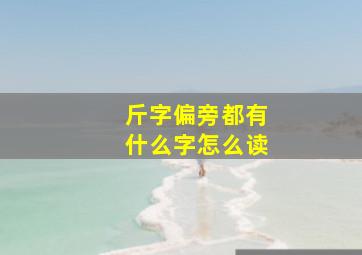 斤字偏旁都有什么字怎么读