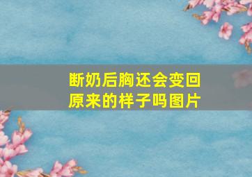 断奶后胸还会变回原来的样子吗图片