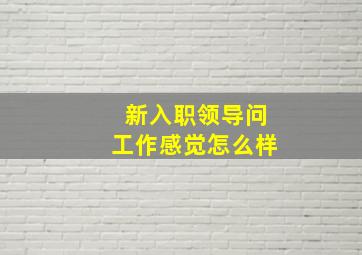 新入职领导问工作感觉怎么样