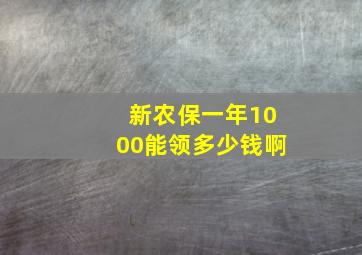 新农保一年1000能领多少钱啊