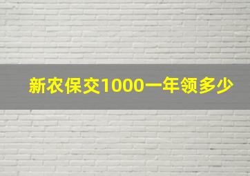 新农保交1000一年领多少