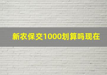 新农保交1000划算吗现在