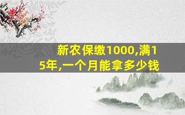 新农保缴1000,满15年,一个月能拿多少钱