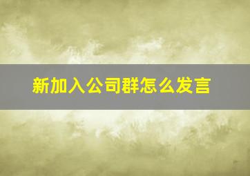 新加入公司群怎么发言