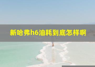 新哈弗h6油耗到底怎样啊