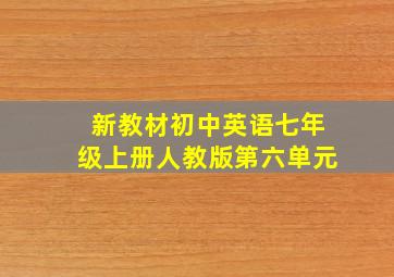 新教材初中英语七年级上册人教版第六单元