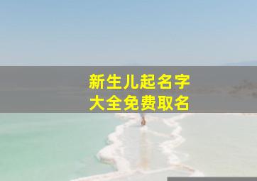 新生儿起名字大全免费取名