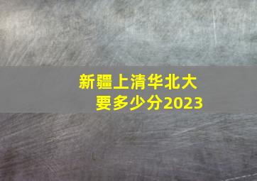 新疆上清华北大要多少分2023