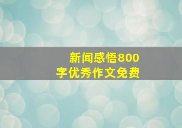 新闻感悟800字优秀作文免费