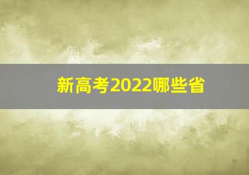 新高考2022哪些省