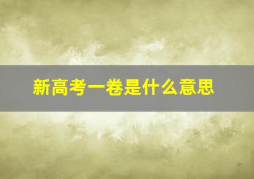 新高考一卷是什么意思