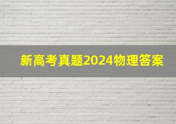 新高考真题2024物理答案