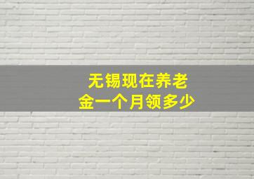 无锡现在养老金一个月领多少