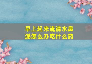 早上起来流清水鼻涕怎么办吃什么药