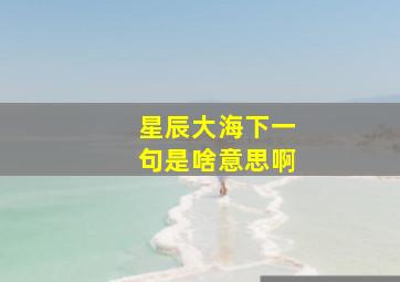 星辰大海下一句是啥意思啊