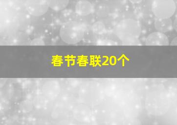 春节春联20个