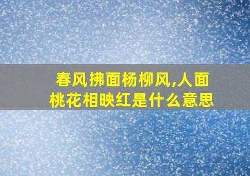 春风拂面杨柳风,人面桃花相映红是什么意思