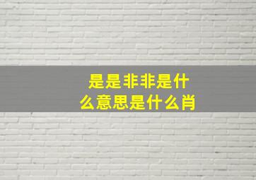 是是非非是什么意思是什么肖