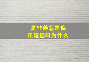 是非善恶是偏正短语吗为什么