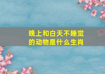 晚上和白天不睡觉的动物是什么生肖