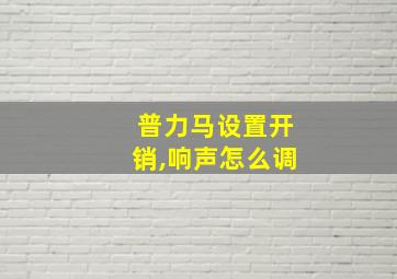 普力马设置开销,响声怎么调