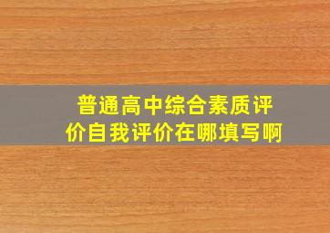 普通高中综合素质评价自我评价在哪填写啊