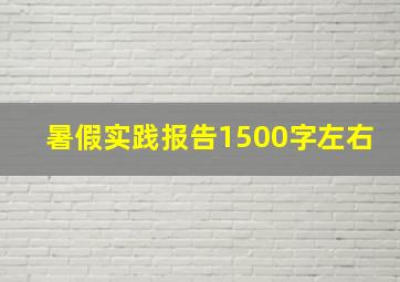 暑假实践报告1500字左右