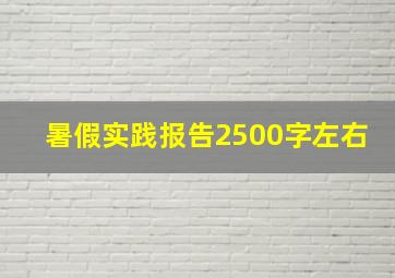 暑假实践报告2500字左右