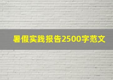 暑假实践报告2500字范文