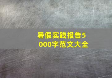 暑假实践报告5000字范文大全