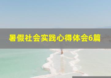 暑假社会实践心得体会6篇