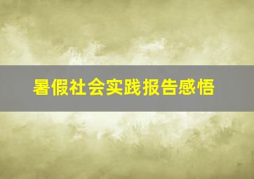 暑假社会实践报告感悟