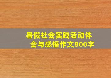 暑假社会实践活动体会与感悟作文800字