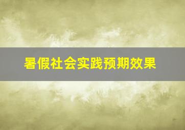 暑假社会实践预期效果