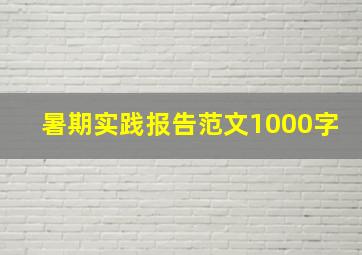 暑期实践报告范文1000字