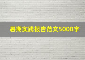 暑期实践报告范文5000字