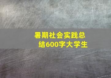 暑期社会实践总结600字大学生