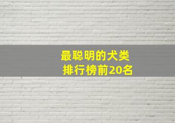 最聪明的犬类排行榜前20名